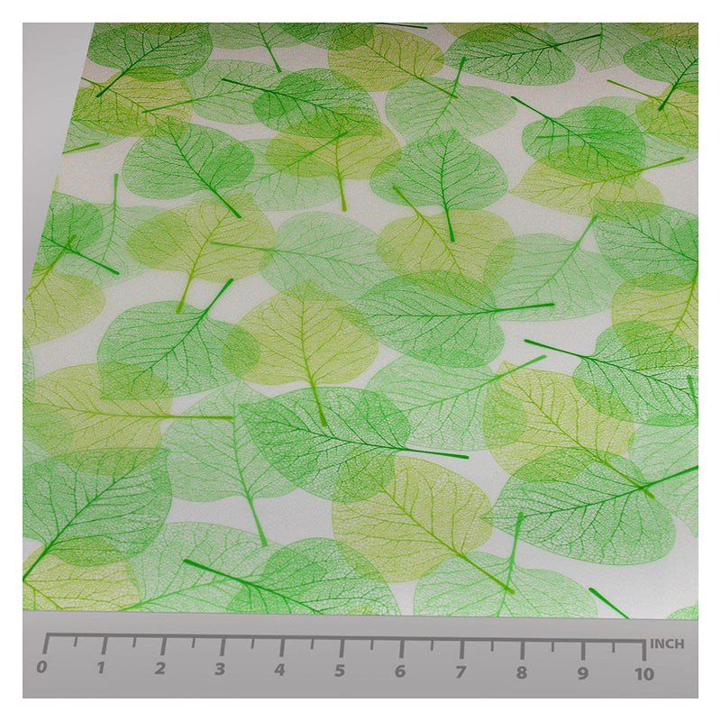 LEAVES ON WHITE