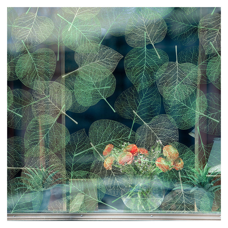 LEAVES