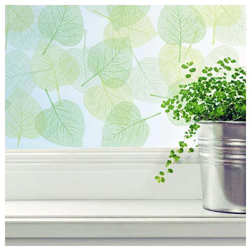 LEAVES ON WHITE