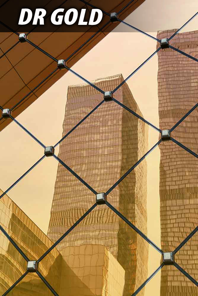 #color_Gold(Silver In)