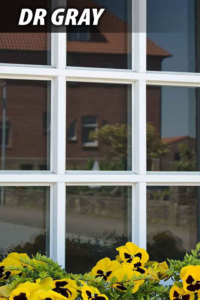 #color_Gray(Silver In)